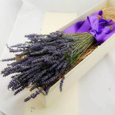 Provence Lavender 薰衣草花束 杭州花店全国鲜花预定配送速递