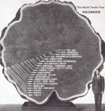 在美国自然历史博物馆里有一件著名的展品，叫做“Mark Twain Tree”，是一段巨杉树（giant Sequoia）的切面，它于1891年被砍伐，树龄有1341年，科学家将树木生长时期的历史事件标注在年轮上，成为一件非常壮观的艺术…