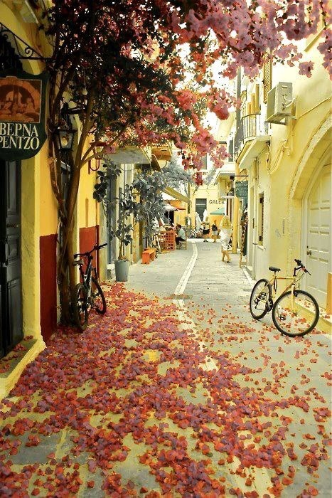 落叶#干尼亚-希腊 #fallen leafs #Chania - Greece