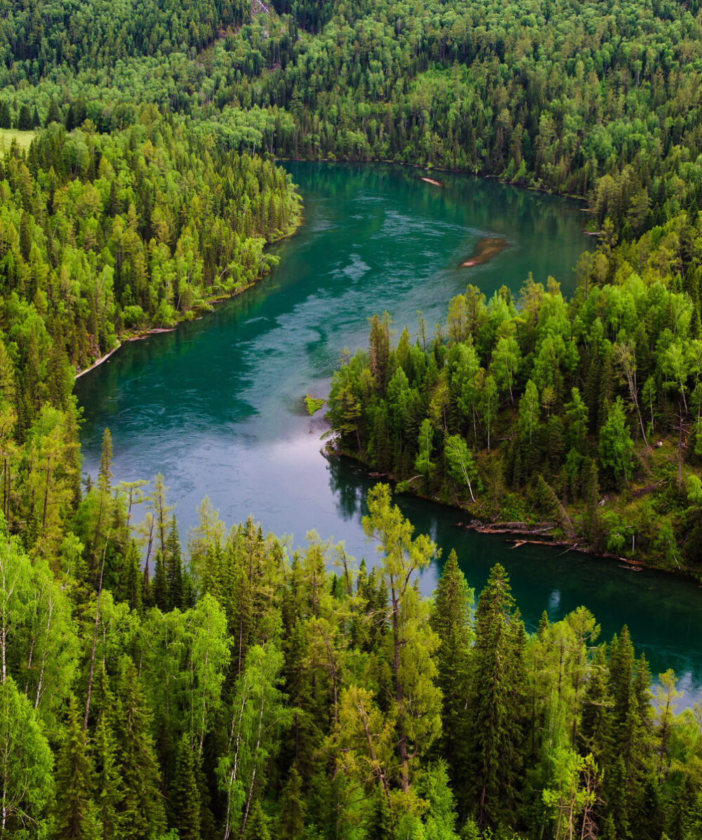 【大美新疆】喀纳斯的月亮湾，终于亲眼见到啦！夏天的颜色比较单调，如果秋天来一定会美如画境。