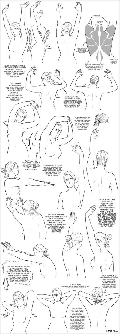 Arms Above the Shoulder/Head Tutorial by ~DerSketchie on deviantART