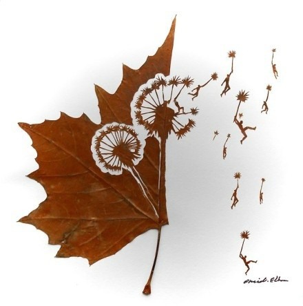 来自伊朗艺术家Omid Asadi 的叶雕作品，用刀和针刻画落叶，被这种创意美哭了！出门捡叶子去！
