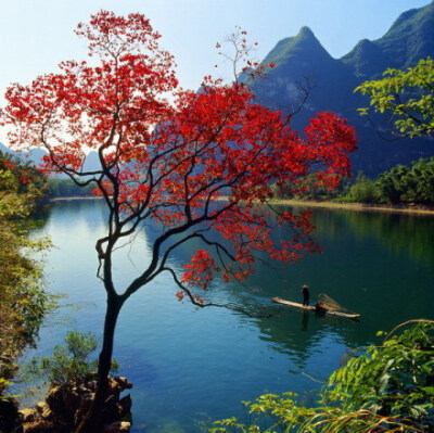 转很美很有意境的话：花半开最美，情留白最浓，懂得给生命留白，亦是一种生活的智慧。宁静以致远，淡泊以明志，懂得給心灵留白，方能在纷杂繁琐的世界淡看得失，宠辱不惊，去意无留。懂得给感情留白，方能持久生香，…