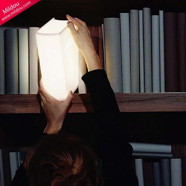 书架上放的不一定都是书，还可能是一盏书本外形的灯。