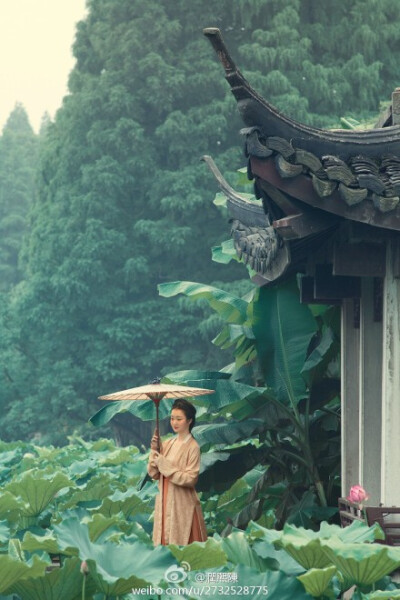 【陳先生的復古照相館】為蘇州王女士於杭州拍攝的宋仕女 @shuqingw，巧的是那幾天荷葉不高不矮，荷花開的也正是時候。
