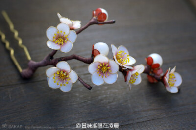 日本设计师 Sakae 的手工树脂花发簪。可以用树脂造花液做花的人不少，但貌似还没有人能超越她的手艺，颜色造型都精美到让人感叹。
