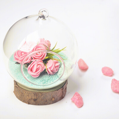 mxmade超美创意透明玻璃玫瑰花瓶 微景观花器 时尚家居饰品工艺品
