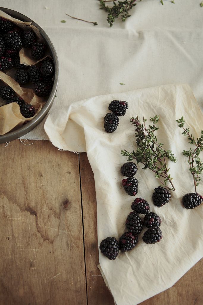 twelvedecibelstatic: Blackberries.