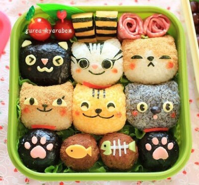 cat bento