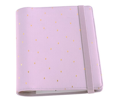 2015 LEATHER TIME PLANNER LARGE: LILAC