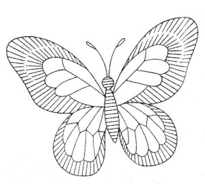 Butterfly 3