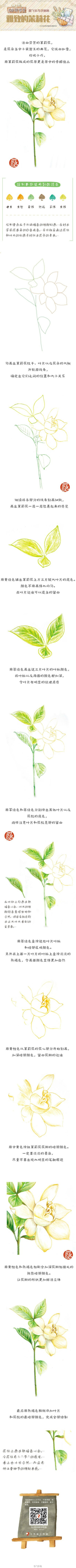 #每天10分钟，跟飞乐鸟学画画# 茉莉花，芬芳白洁如你，清新柔美如你。本周我们的主题是一花一世界，亲爱的同学们准备好画画了吗？！完成大作就有机会获得赠书机会哟！