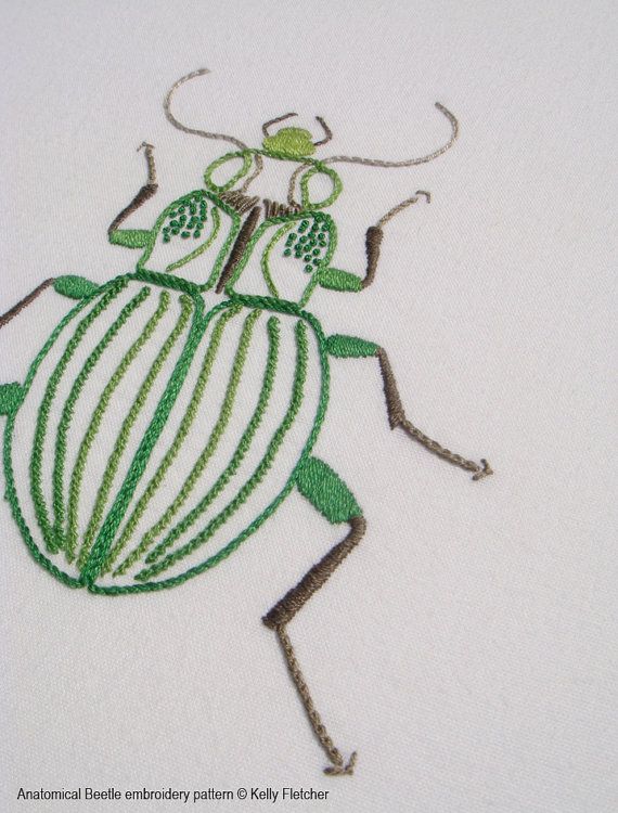 Anatomical Beetle hand embroidery pattern by KFNeedleworkDesign