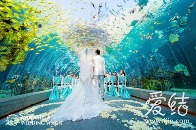 奇妙的爱情童话 国内首个海底世界婚礼跟拍