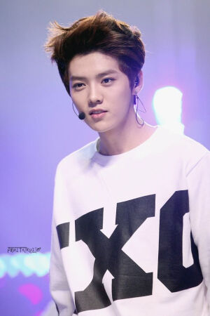 狼崽们的生活日常