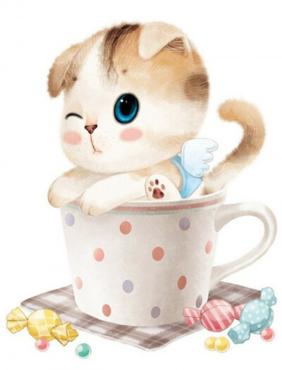 这么萌，小编的心都化了！！《萌宝宝：猫》