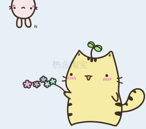 可爱的小猫咪