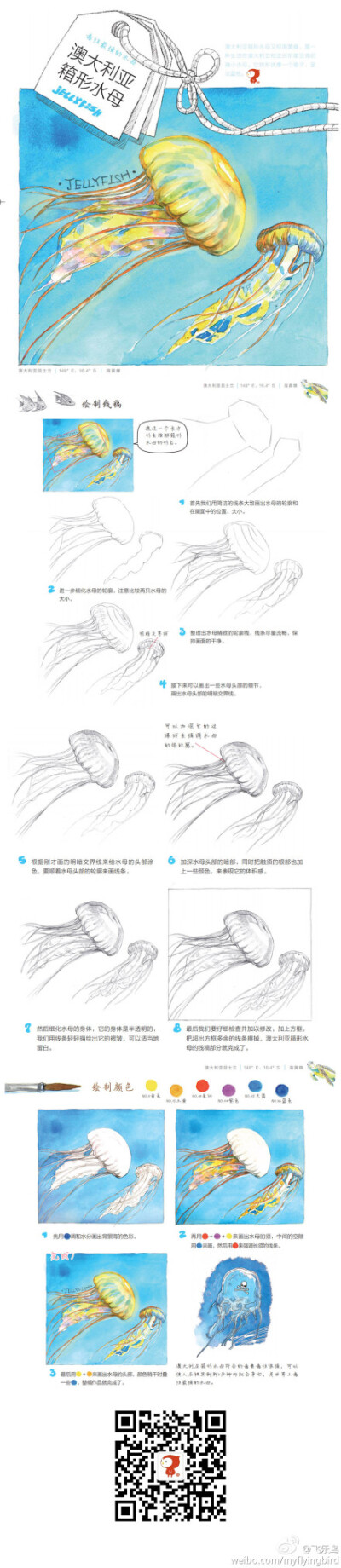 【教程】水彩--澳大利亞箱型水母。