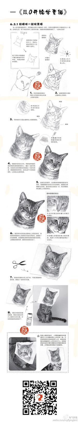 【教程】和猫咪一起学素描，喵！