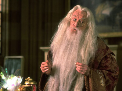 阿不思·珀西瓦尔·伍尔弗里克·布赖恩·邓布利多（Albus Percival Wulfric Brian Dumbledore）,扮演者：理查德·哈里斯