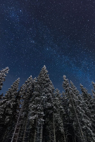 Moonlit by Mikko Lagerstedt on 500px