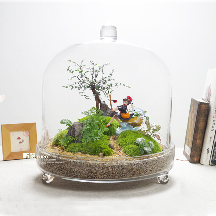 屿路生活 七夕情人节 苔藓微景观 生态瓶 原创绿植 创意礼品