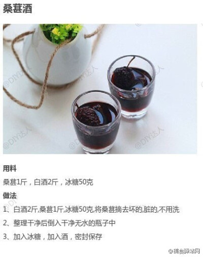 吃货帖：九款自酿水果酒！夏季必备清凉饮品~