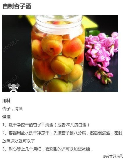 吃货帖：九款自酿水果酒！夏季必备清凉饮品~