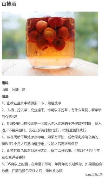 吃货帖：九款自酿水果酒！夏季必备清凉饮品~