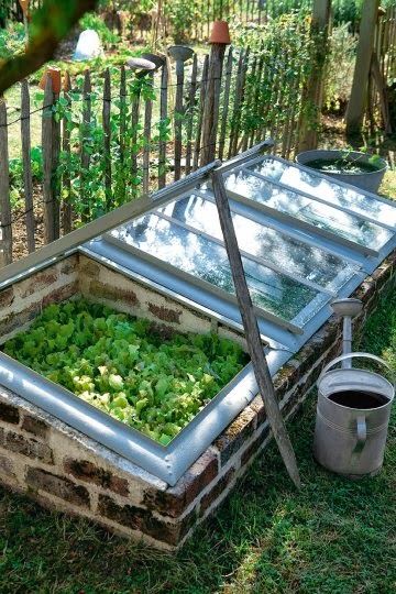 Greenhouse from recycled windows