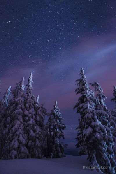 Brisk Starry Night in Winter