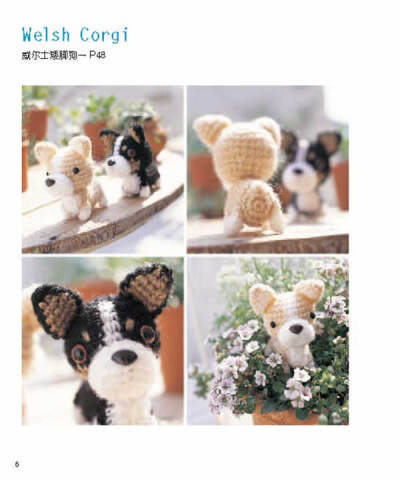 Welsh Corgi 威尔士矮脚狗（1）