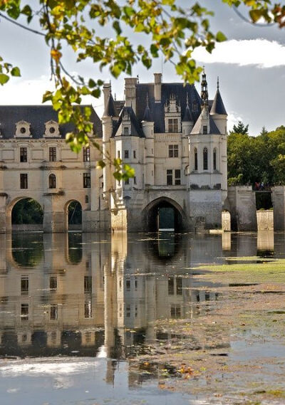 Chateau Chenonceau ~ Loire Valley, France