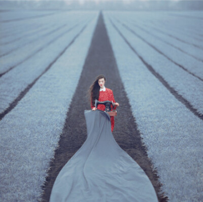 美丽世界的孤独灵魂。作者：乌克兰摄影师Oleg Oprisco。