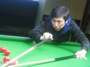 曹新龙 中国新疆 职业比赛成绩： 2002年 全国体育大会　 团体第五 2004年 全国精英赛 前八 2004年 全国排名赛 前八 2006年 中国斯诺克巡回赛 宜兴站 季军 2007年 中国斯诺克巡回赛 青海站 季军