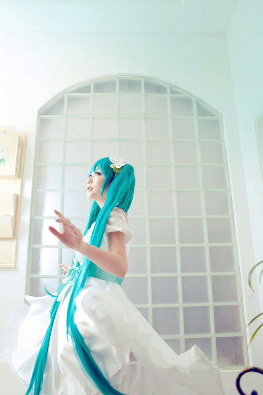 初音#动漫#cos