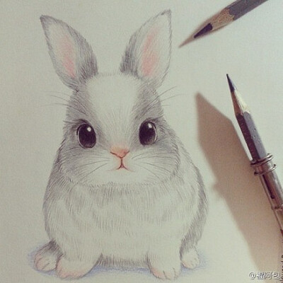 【绘画图片】萌 彩铅 素描 兔兔 这兔萌爆了！！！有木有？ 也可以用来作橡皮章素材啊