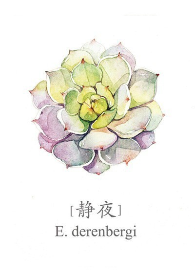 可爱的多肉水彩记。