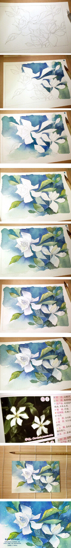 yoyo901021采集到watercolor plant