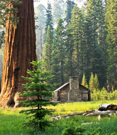 The log cabin by Gabriel Radu on 500px