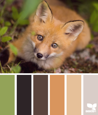 fox palette