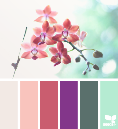 flora tones