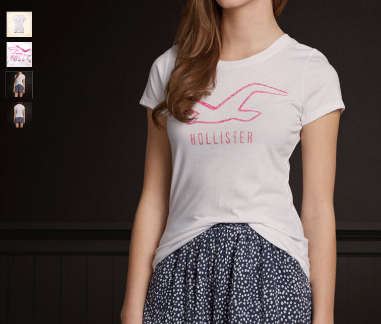 美国AF旗下 Hollister 正品 女士T恤 短袖 海鸥Logo图案 现货