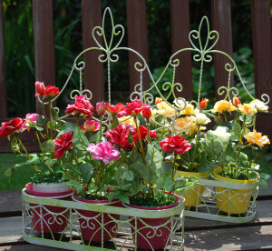 千棵树 清新田园 仿真花 绢花 白色铁艺花蓝壁挂 我要的小幸福