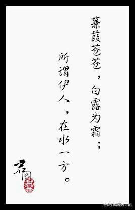 《诗经》-----最美九句。