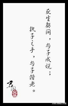 《诗经》-----最美九句。