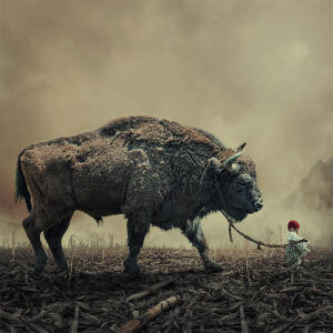Caras Ionut ,罗马尼亚摄影师。他的作品以后期著称,最著名的板凳系列,儿童系列都有着很好的口碑。他娴熟的后期技术，能赋予普通画面以浓郁、富有童话色彩的效果，让平凡的作品变得不平凡。