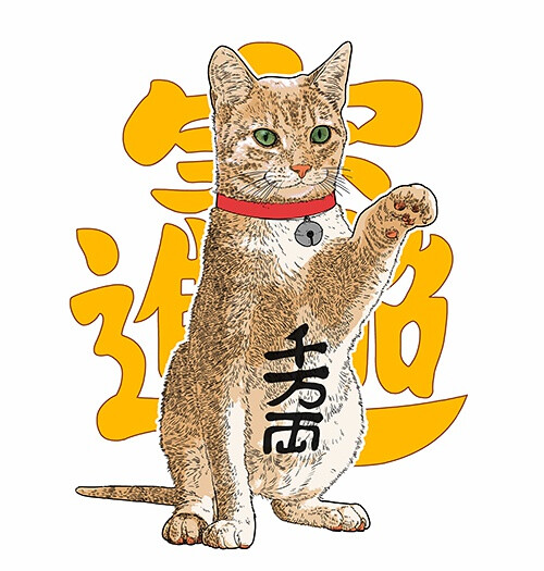 以为自己是招财猫的猫