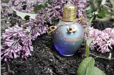 Taylor Swift wonderstruck丛林仙子淡香精100ml