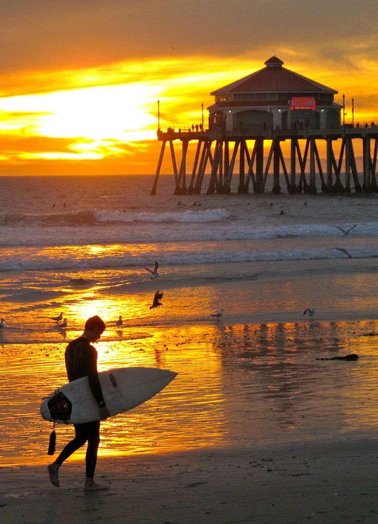 Huntington Beach...._暮光之城 - 美丽鸟